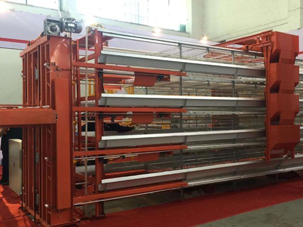 層疊式肉雞籠養(yǎng)設備