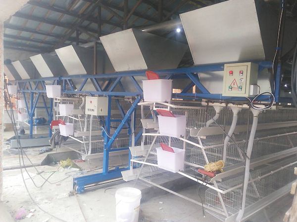 全自動喂料機(jī)