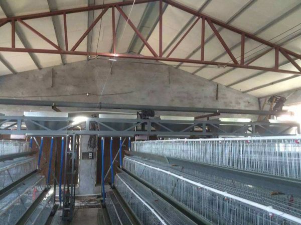 自動喂料機(jī)